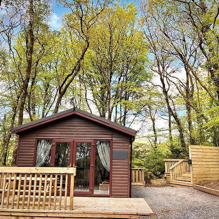 Woodland View -Hot Tub-Tenby-Carmarthen-St Clears Exteriér fotografie
