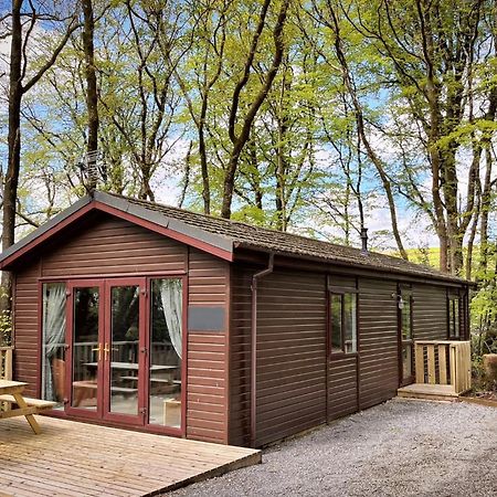 Woodland View -Hot Tub-Tenby-Carmarthen-St Clears Exteriér fotografie