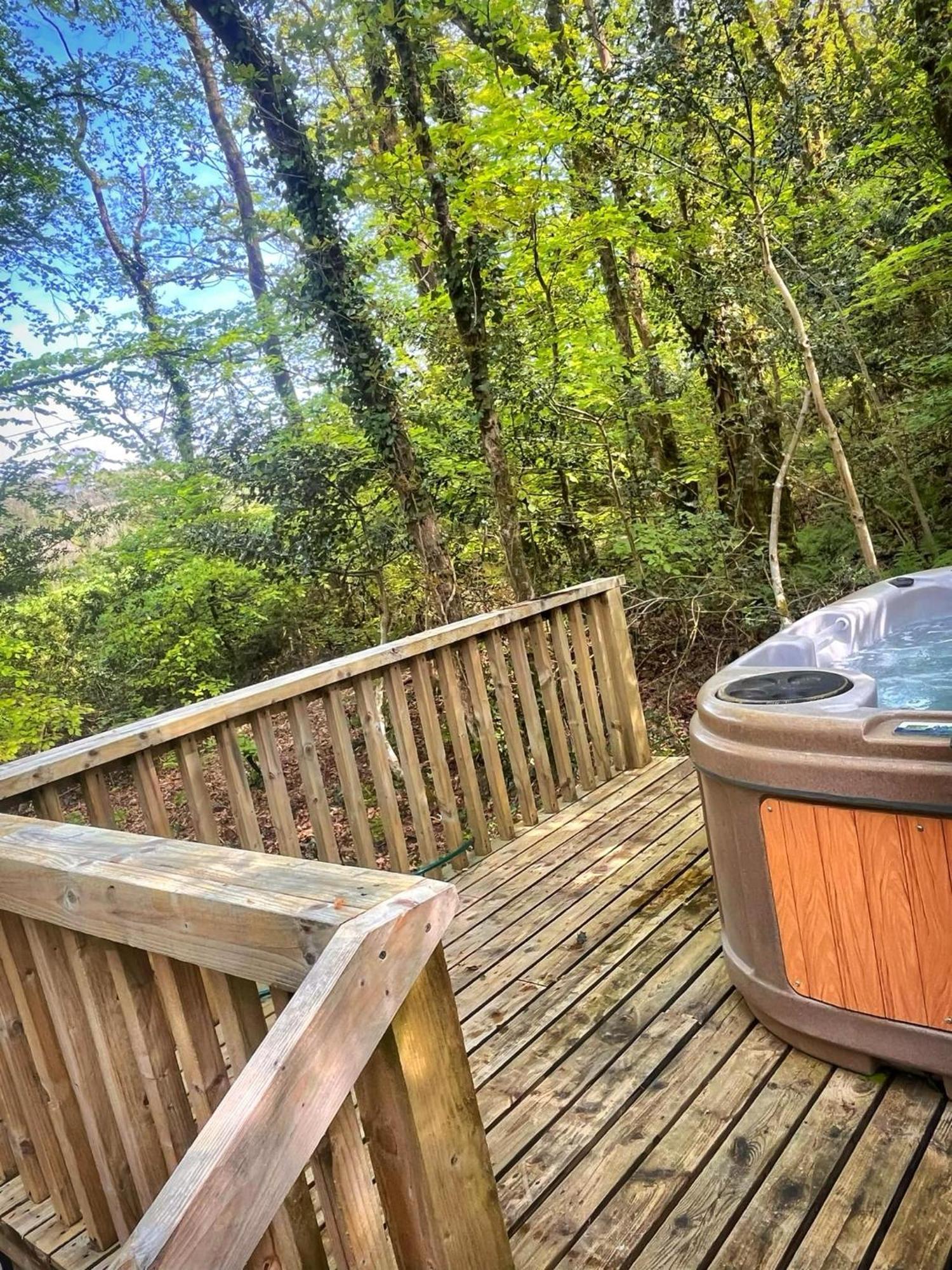 Woodland View -Hot Tub-Tenby-Carmarthen-St Clears Exteriér fotografie